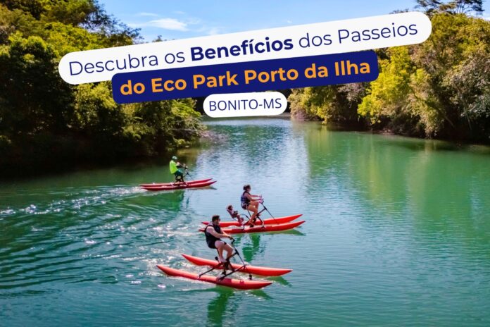 Imagem do WhatsApp de 2025-05-07 à(s) 15.17.34_371ac2f2