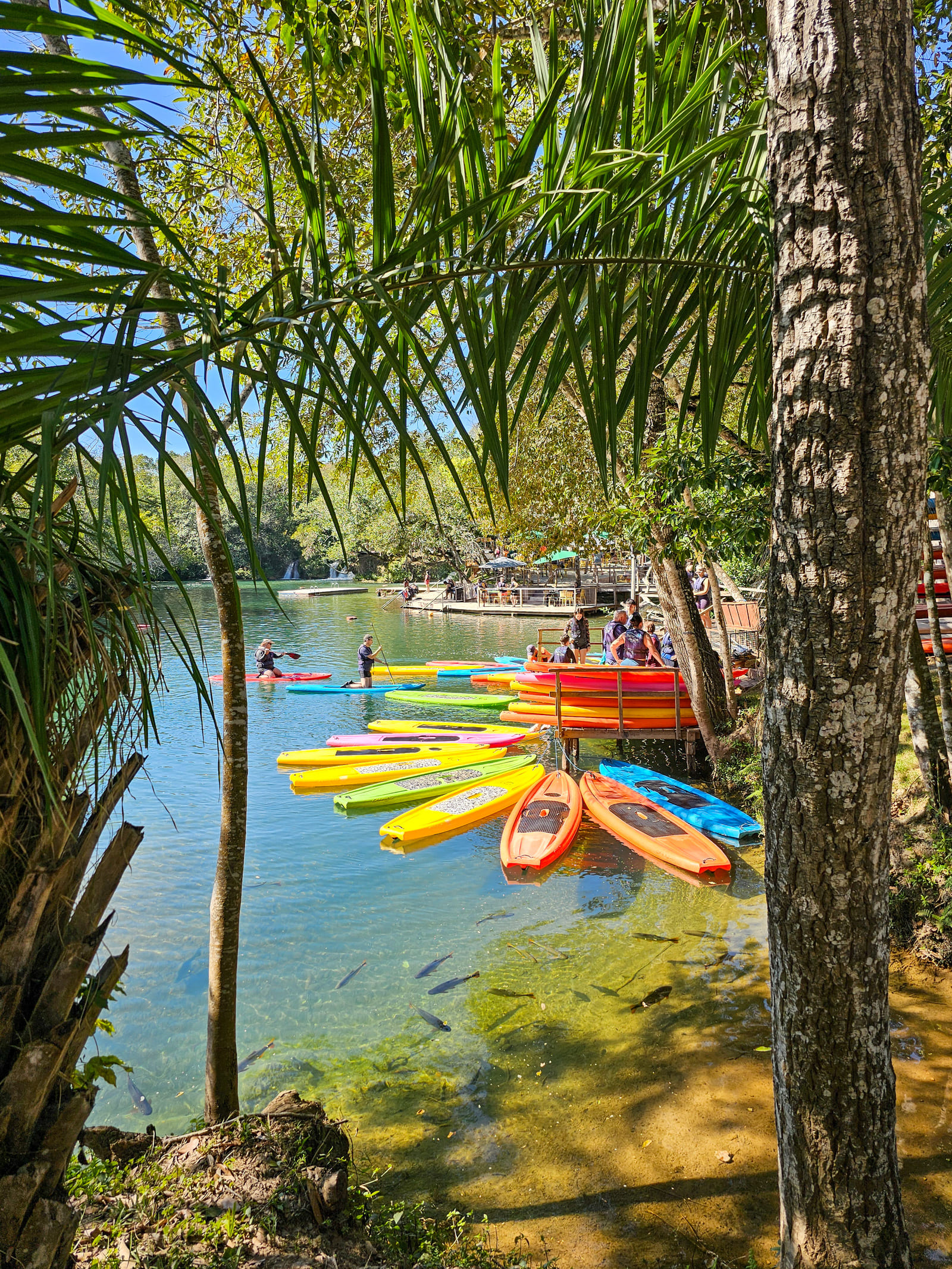 2025.07 Porto da Ilha Foto 158 Passeio de Stand Up Paddle