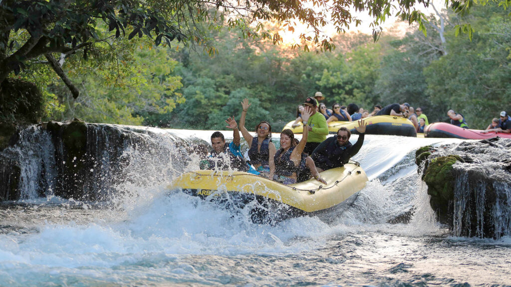 Eco Park Porto da Ilha: Aventura e Diversão para Toda a Família Eco Park Porto da Ilha: Aventura e Diversão para Toda a Família