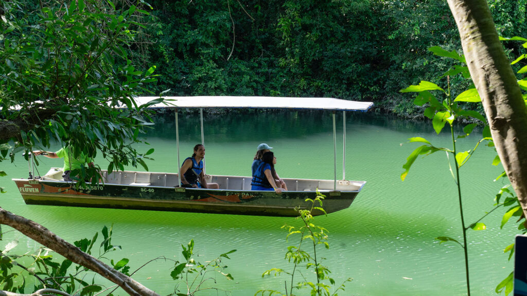 Relaxamento, Natureza e Aventura em Bonito: Descubra o Eco Park Porto da Ilha Relaxamento, Natureza e Aventura em Bonito: Descubra o Eco Park Porto da Ilha