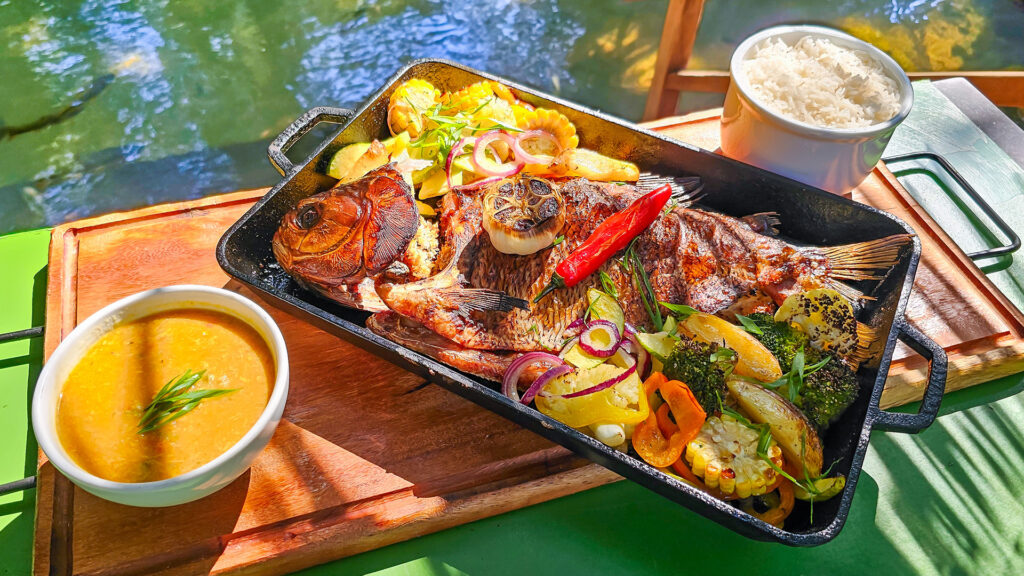 Ecogastronomia no Eco Park Porto da Ilha valoriza ingredientes regionais e reforça experiência sensorial em Bonito Ecogastronomia no Eco Park Porto da Ilha valoriza ingredientes regionais e reforça experiência sensorial em Bonito