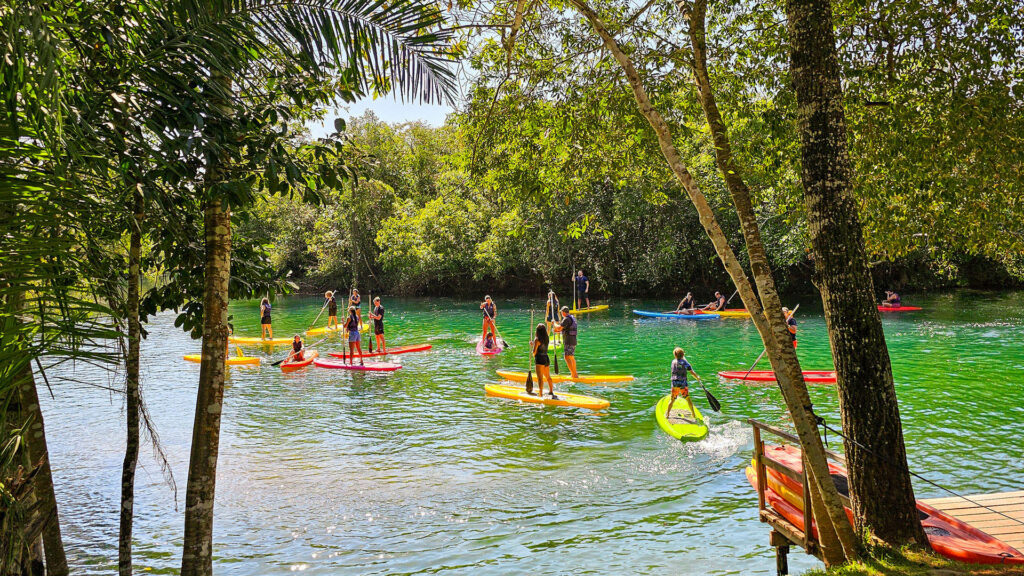 Stand Up Paddle no Eco Park Porto da Ilha convida à conexão com a natureza no Rio Formoso Stand Up Paddle no Eco Park Porto da Ilha convida à conexão com a natureza no Rio Formoso